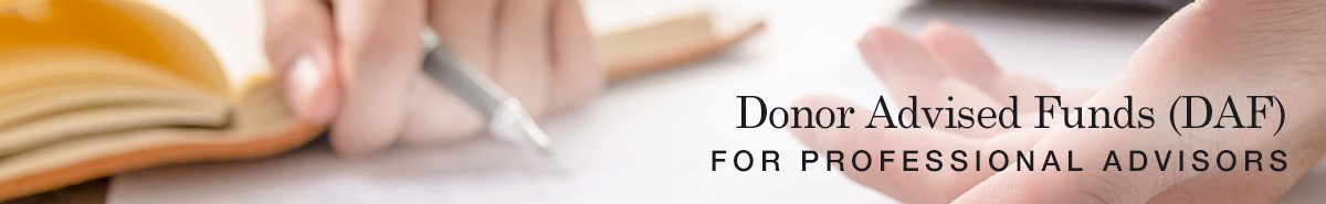 DAFs for professional advisors header