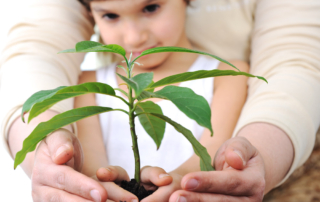 A pair of adult hands guiding a child's hands as they place a seedling into a planting pot.