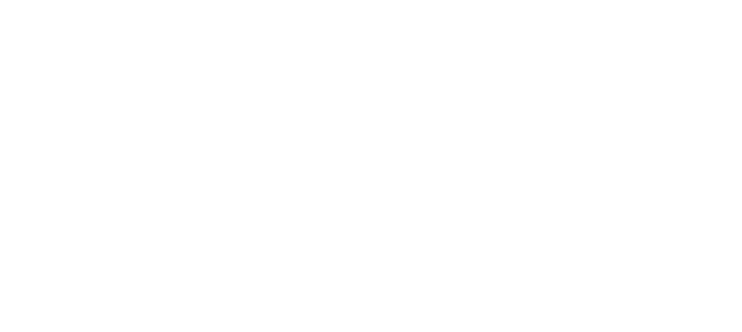 IGF Final Logo_Horizontal_White_Horizontal White